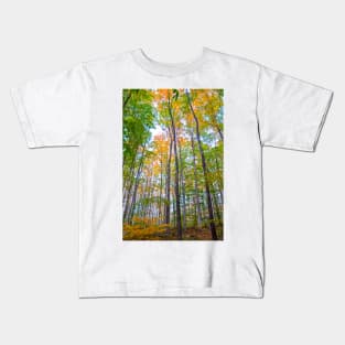 Autumn in the Tree Tops Kids T-Shirt